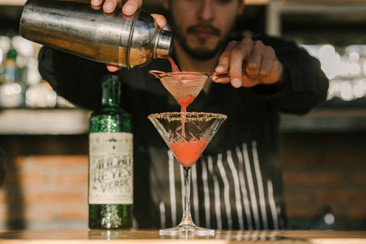 Hotel Apapacho Boutique San Miguel de Allende Dış mekan fotoğraf